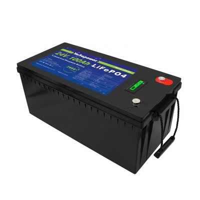 100Ah 150Ah 200Ah 300Ah 24v Lifepo4 Batterie Avec Bms